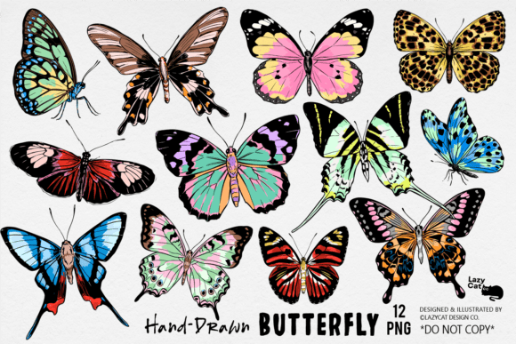 Download Butterfly Illustration PNG Bundle - Premium Resources